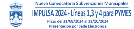 Subvención Impulsa 2024