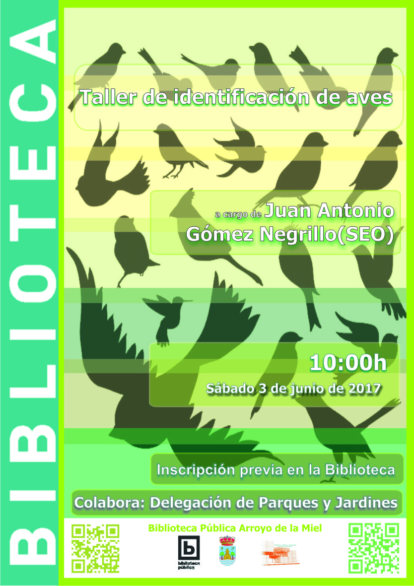 Taller de Identificación de Aves